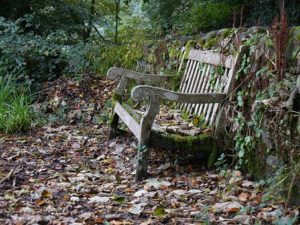 garden- bench alte Holzbank verwittert restauration